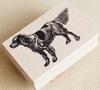 ラバースタンプ ブリタニー スパニエル 木の持...の紹介画像3