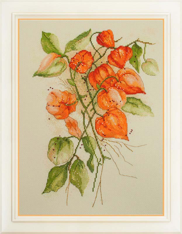 �᡼��������̵�� ���������ƥå� �ɽ����å� ����� OLanTA �ۥ����� 16ct ��ʪ ���������ƥå����å� �����夦 �ɽ�