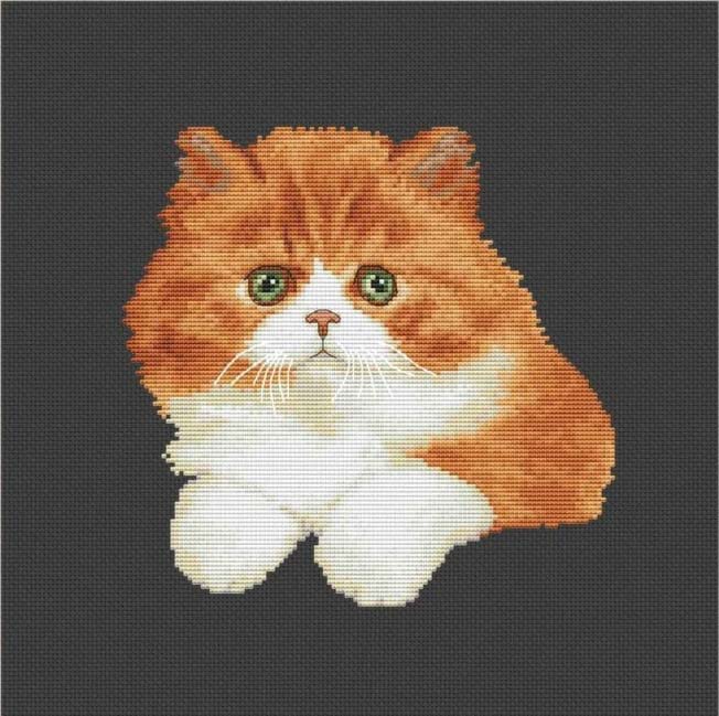 樂天商城 - メール便送料無料 クロスステッチ 刺繍キット オランタ OLanTA 赤い子猫 16ct 猫 クロスステッチキット ししゅう 刺繍