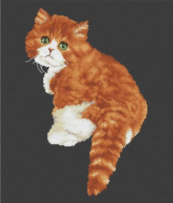 乐天商城 - メール便送料無料 クロスステッチ 刺繍キット オランタ OLanTA かわいい猫 16ct 猫 クロスステッチキット ししゅう 刺繍