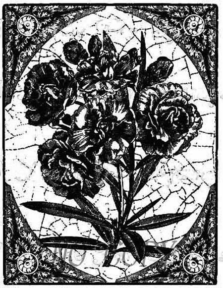 С Ť͡Υ٥ ޥ ͢ ȥ 