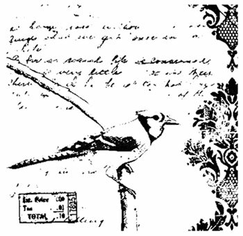 バードコラージュ 【クリング】ラバースタンプ 輸入スタンプ アートスタンプ