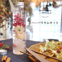 ＼母の日 ギフト クーポン／ ハーバリウム キット 花材5種 円柱瓶 華やか [手作り プレゼント 飾り ギフト 花 記念日 ハンドメイド インテリア 雑貨 ガラス 瓶 手作りキット]の商品画像