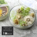 ＼母の日 ギフト クーポン／ アロマワックスサシェ（シャーレ ） キット 花材6種 ナチュラル [花 誕生日 おしゃれな ギフト プレゼント ルームフレグランス ハンドメイド インテリア 雑貨 サシェ アロマ ワックス 作り方 材料 手作り 飾り]