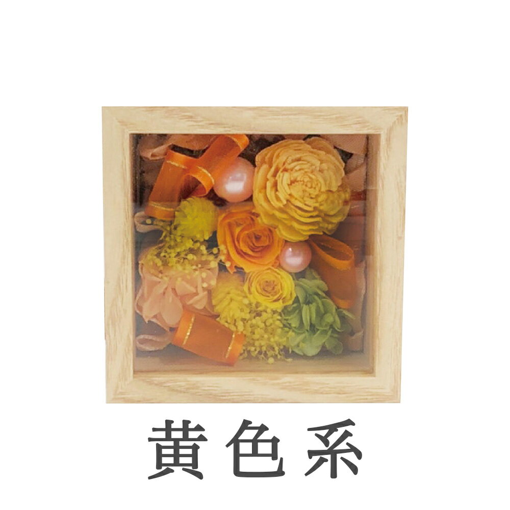 楽天市場】六角 ガラスケース（プリザーブドフラワー｜花・観葉植物