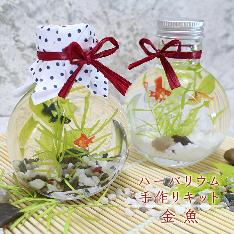 ＼母の日 早割 クーポン／ 金魚 ハーバリウム キット [花 誕生日 ギフト 手作りキット おしゃれな ギフト プレゼント ハンドメイド インテリア 雑貨 アクア ハーバリウム 材料 和 和風小物 夏 工作]