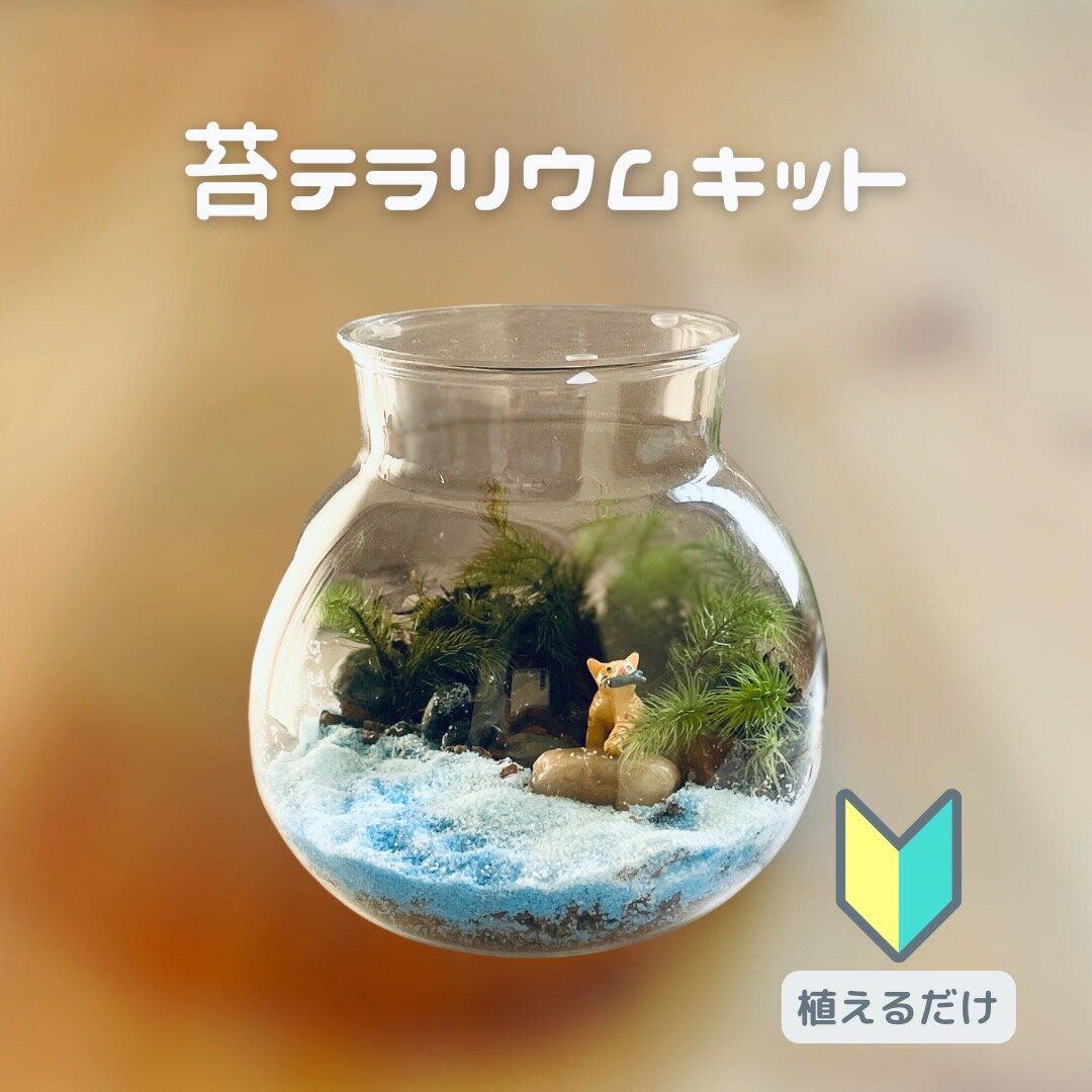 �� �ƥ�ꥦ�� ���å� ����� ����� ���ե� �ݤ��褯������ƥ�ꥦ�������ƴ� ������ ��Ĺ �Ѿ��� �ƥ�ꥦ�७�å� �İ����ե����奢�դ� ���� ������ ����å� ��ñ ������ �������å�