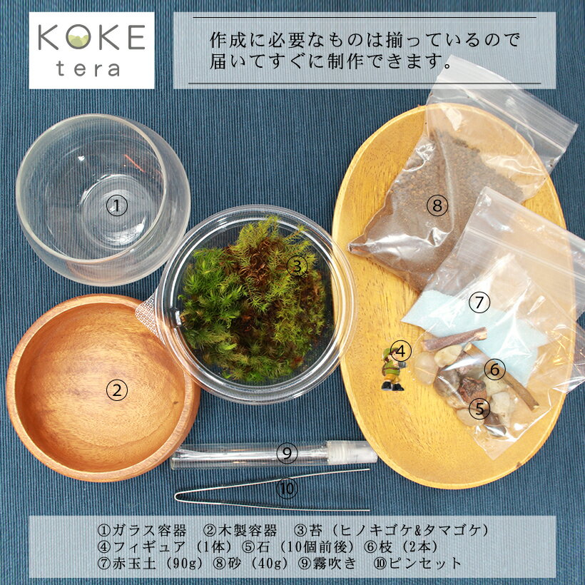 【送料無料】苔テラリウム 手作り キット 冒険家 男の子【冬 クリスマス 年末年始 おうち時間 プレゼント ドライフラワー ハンドメイド インテリア 雑貨 男性 ヒノキゴケ タマゴケ 観葉植物 園芸 ガーデニング 】