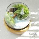 苔テラリウムキット カワウソ防水フィギュア付き