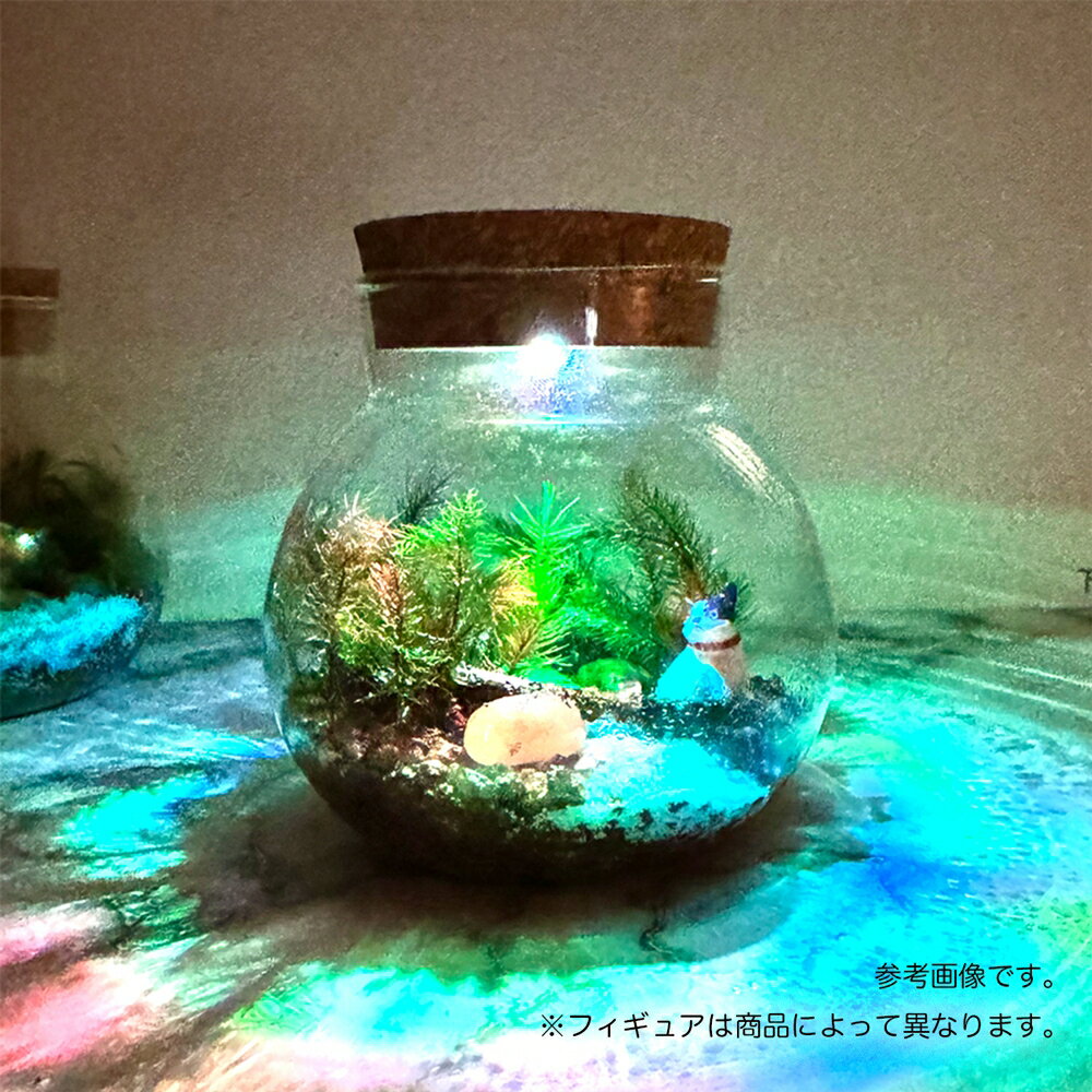 �ݥƥ�ꥦ�� ���å� LED�饤�� ���復�� �ե����奢�դ� ����� ����� ���ե� 10cm �ƥ�ꥦ�� �����ꥦ�� �ܥȥ�ƥ�ꥦ�� ���� ������ ����å� ��ñ ������ �ץ쥼��� ���ե�