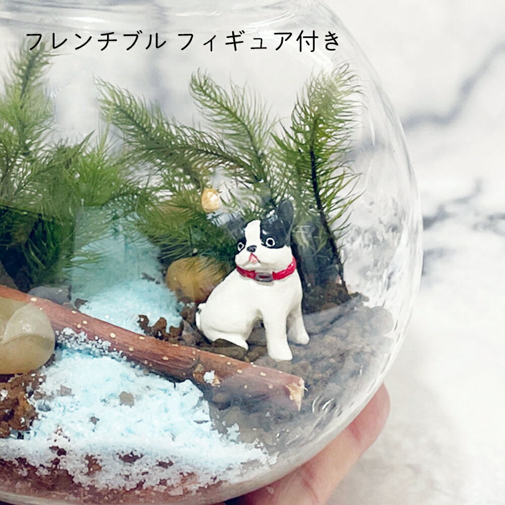 �� �ƥ�ꥦ�� ���å� �ե����֥�ɥå� �ݤ��褯������ƥ�ꥦ�������ƴ� ������ ��Ĺ �ƥ�ꥦ�७�å� �ե����֥�ɥå� �İ����ե����奢�դ� ���� ������ ��ñ ������ �ץ쥼��� ����å�