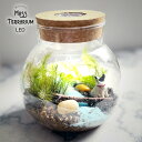 苔テラリウム キット LEDライト フレンチブルドッグ(犬) フィギュア付き 10cm テラリウム コケリウム ボトルテラリウム 工作 小学生 自由研究 工作キット 簡単 誕生日 プレゼント ギフト