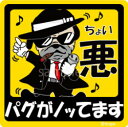 ペット ちょい悪ステッカー 【パグ】 愛犬を連れてノリノリで、ドライブにおでかけ〜♪