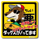 ペット　ちょい悪ステッカー　【大判マグネットタイプ　ダックススケボー】　愛犬を連れてノリノリで、ドライブにおでかけ〜♪