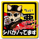 ペット　ちょい悪ステッカー　【大判マグネットタイプ　柴犬車】　愛犬を連れてノリノリで、ドライブにおでかけ〜♪