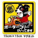 ペット ちょい悪ステッカー 【大判マグネットタイプ ボーダーコリー黒】 愛犬を連れてノリノリで、ドライブにおでかけ〜♪