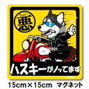 ペット ちょい悪ステッカー 【大判マグネットタイプ シベリアハスキー 黒】 愛犬を連れてノリノリで、ドライブにおでかけ〜♪