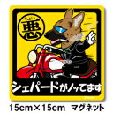 ペット ちょい悪ステッカー 【大判マグネットタイプ シェパード】 愛犬を連れてノリノリで、ドライブにおでかけ〜♪