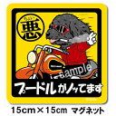 ペット ちょい悪ステッカー 【大判マグネットタイプ プードル黒】 愛犬を連れてノリノリで、ドライブにおでかけ〜♪