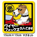 ペット ちょい悪ステッカー 【大判マグネットタイプ ワイヤーフォックス】 愛犬を連れてノリノリで、ドライブにおでかけ〜♪