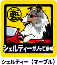 ペット ちょい悪ステッカー 【大判マグネットタイプ シェルティ マーブル】 愛犬を連れてノリノリで、ドライブにおでかけ〜♪