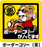 ペット　ちょい悪ステッカー　【大判マグネットタイプ　ボーダーコリー茶】　愛犬を連れてノリノリで、ドライブにおでかけ〜♪