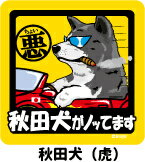 おもしろステッカー♪ ノリノリでかわいい〜 車へ張ったりポストへ張ったり！ わんちゃんをつれてドライブへGO♪ ペットアイテム続々入荷中です！！ 加工 UVラミネート加工・マグネットタイプ サイズ 15センチ×15センチ 備　考 この商品は当店実店舗でも販売しております。在庫数の更新は随時行っておりますが、 お買い上げいただいた商品が、品切れになってしまうこともございます。 その場合、お客様には必ず連絡をいたしますが、万が一入荷予定がない場合は、 キャンセルさせていただく場合もございますことをあらかじめご了承ください。