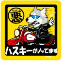 ペット ちょい悪ステッカー 【大判マグネットタイプ シベリアハスキー 灰】 愛犬を連れてノリノリで、ドライブにおでかけ〜♪