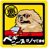 おもしろステッカー♪ ノリノリでかわいい〜 車へ張ったりポストへ張ったり！ わんちゃんをつれてドライブへGO♪ ペットアイテム続々入荷中です！！ 加工 UVラミネート加工・マグネットタイプ サイズ 15センチ×15センチ 備　考 この商品は当店実店舗でも販売しております。在庫数の更新は随時行っておりますが、 お買い上げいただいた商品が、品切れになってしまうこともございます。 その場合、お客様には必ず連絡をいたしますが、万が一入荷予定がない場合は、 キャンセルさせていただく場合もございますことをあらかじめご了承ください。