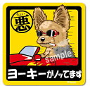 ペット　ちょい悪ステッカー　　愛犬を連れてノリノリで、ドライブにおでかけ〜♪