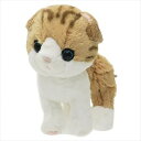 ぬいぐるみ 【Kitten キトン プラッシュドールS スコティッシュフォールド ブラウン】 ぬいぐるみ