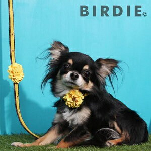 小型犬用首輪　【BIRDIE　ダリアのリード】　キラキラスワロフスキー♪　7カラーで多頭飼いにも♪