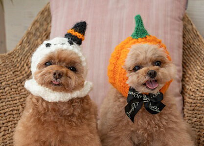 ペットウェア　【CRAZYBOO　ハロウィン　手編みニット帽子　かぼちゃ】S〜Lサイズ　CB22AW