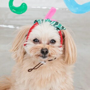 ペット小物　【D'schat　フルーツ柄クーリングバンド】S～XLサイズ　DC25SS