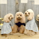 ペットウェア 【CRAZYBOO 襟付きハイウエストワンピース】XS〜Lサイズ CB19AW