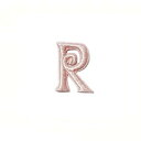 ワッペン 【くるくるワッペン アルファベット R】 イニシャル 服やバッグ、好きなところにアップリケ★ ハンドメイドに♪ 手芸