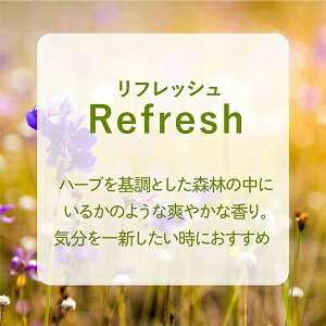 生活の木 ブレンド精油夜 10ml