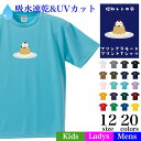 \お得なクーポン配布中/【【メール便 送料無料】プリンアラモード Tシャツ 吸水速乾 UVカット紫外線カット スポーツ 半袖 メンズ レディース キッズ お揃い...