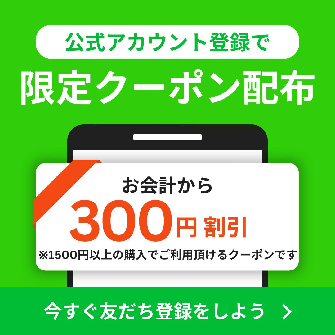 【公式店】 D'sTs お米のおいしいお素麺 米粉 そうめん グルテンフリー 100g 国産 ...