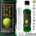 【キャプテンシロップ】大人のメロンソーダのもと200ml (瓶) 希釈用 ／ 北海道産メロンピューレ使用 中村商店