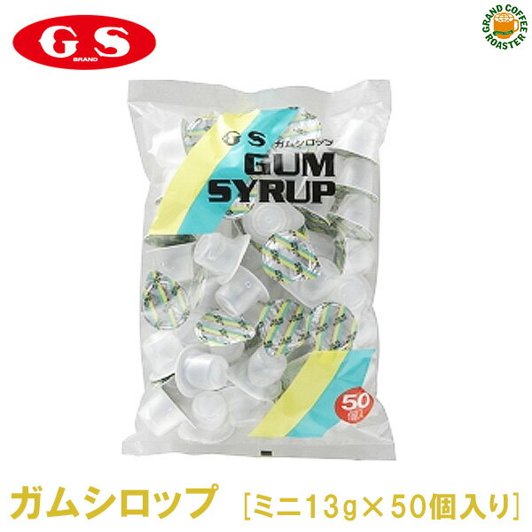 【ジーエスフード】GSガムシロップミニ(袋)13g×50個入