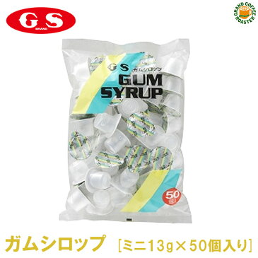 【ジーエスフード】GSガムシロップミニ(袋)13g×50個入