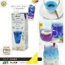 セール【守山乳業】MORIYAMA バタフライピーティー/1000g×6本(ケース) 微糖 ストレート 業務用飲料 パック