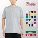 Tシャツ メンズ レディース 大きいサイズ ゆったり 半袖 綿 おしゃれ 無地 2XL 3XL カジュアル アメカジ ストリート シンプル スポーツ テニス バ...