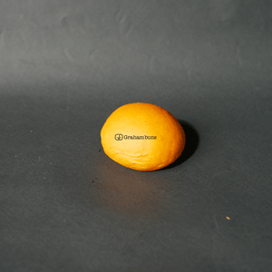 �ϥ�С������ѥ���󥸡������˥Х󥺡����饤�����ʥץ��������ˡ�����в١�