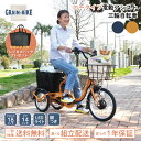 【敬老の日CPプレゼント&クーポン配布さらにポイントUP】ポタリクル 電動アシスト三輪自転車 三輪車 大人用 シニア 高齢者 18インチ 低床 コンパクト おしゃれ 組立て配送 買い物 免許不要 プレゼント 3輪自転車 敬老の日 POT18-EB/POT18-EB-NV