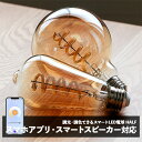 【スマートLED電球 HALF（ハーフ） ス