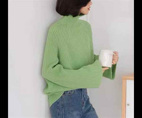 レディース トップス ニット セーター プルオーバー ミドル丈 長袖 ハイネック タートルネック ストレ..