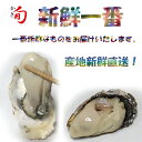 \買うなら今日お得/タイムセール3%offクーポン発行中 牡蠣剥き身500g×2 産地新鮮直送 今期販売4月30日まで 当日注文で翌日発送 生食もOK 送料込み 代引不可