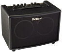 Roland [h AR[XeBbN M^[ Av 15W+15W ubN AC-33